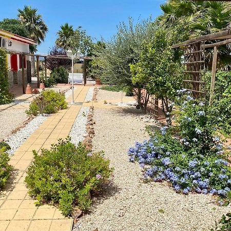 B&B Casa Azul Crevillente Eksteriør bilde