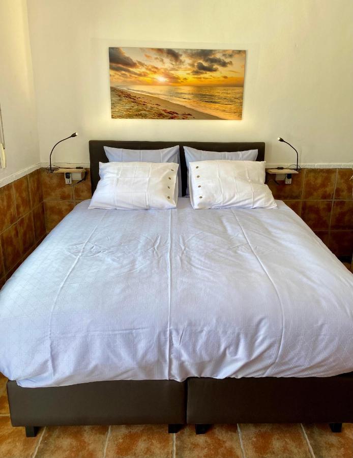 B&B Casa Azul Crevillente Eksteriør bilde